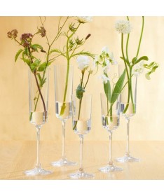 Kpl. 6 kieliszków do szampana 220ml NONO