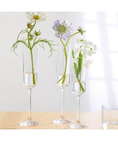 Kpl. 6 kieliszków do szampana 220ml NONO