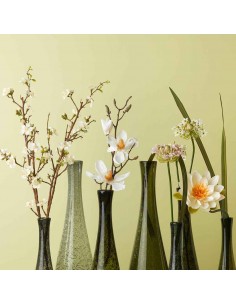 Kwiat lilia wodna 75 Fiore 2