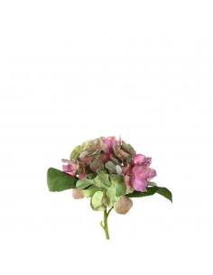 Kwiat Hortensia 18 różowy Poesia