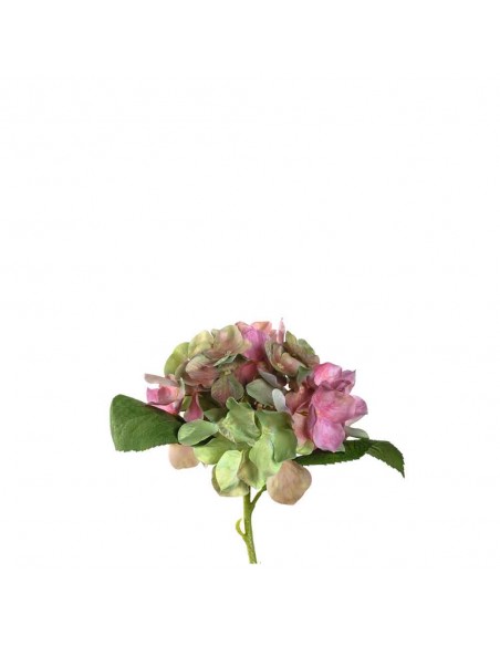 Kwiat Hortensia 18 różowy Poesia