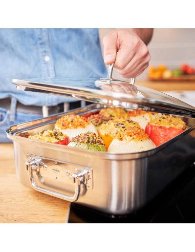 ROESLE - Brytfanna EXPERTISO