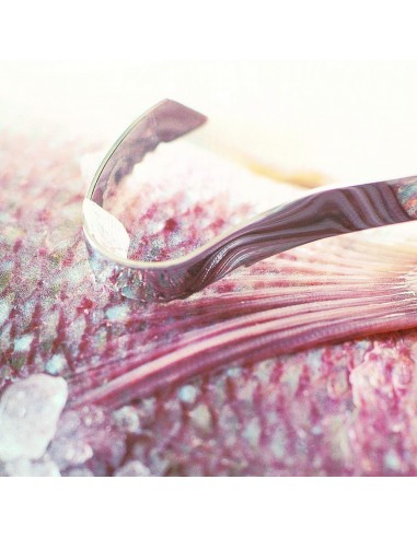 ROESLE - Skrobaczka do ryb 21cm