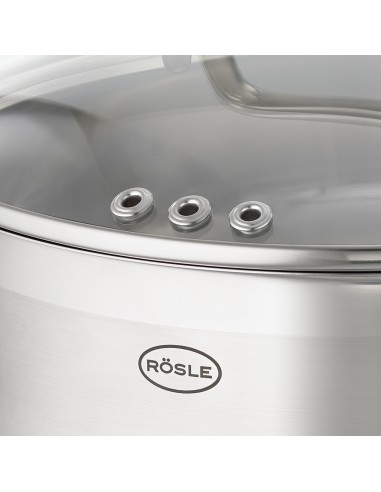 ROESLE - Garnek wysoki z pokrywą  20cm CHARM