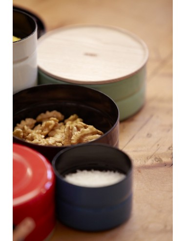 RIESS - Pojemnik kuchenny niski z drewnianą...